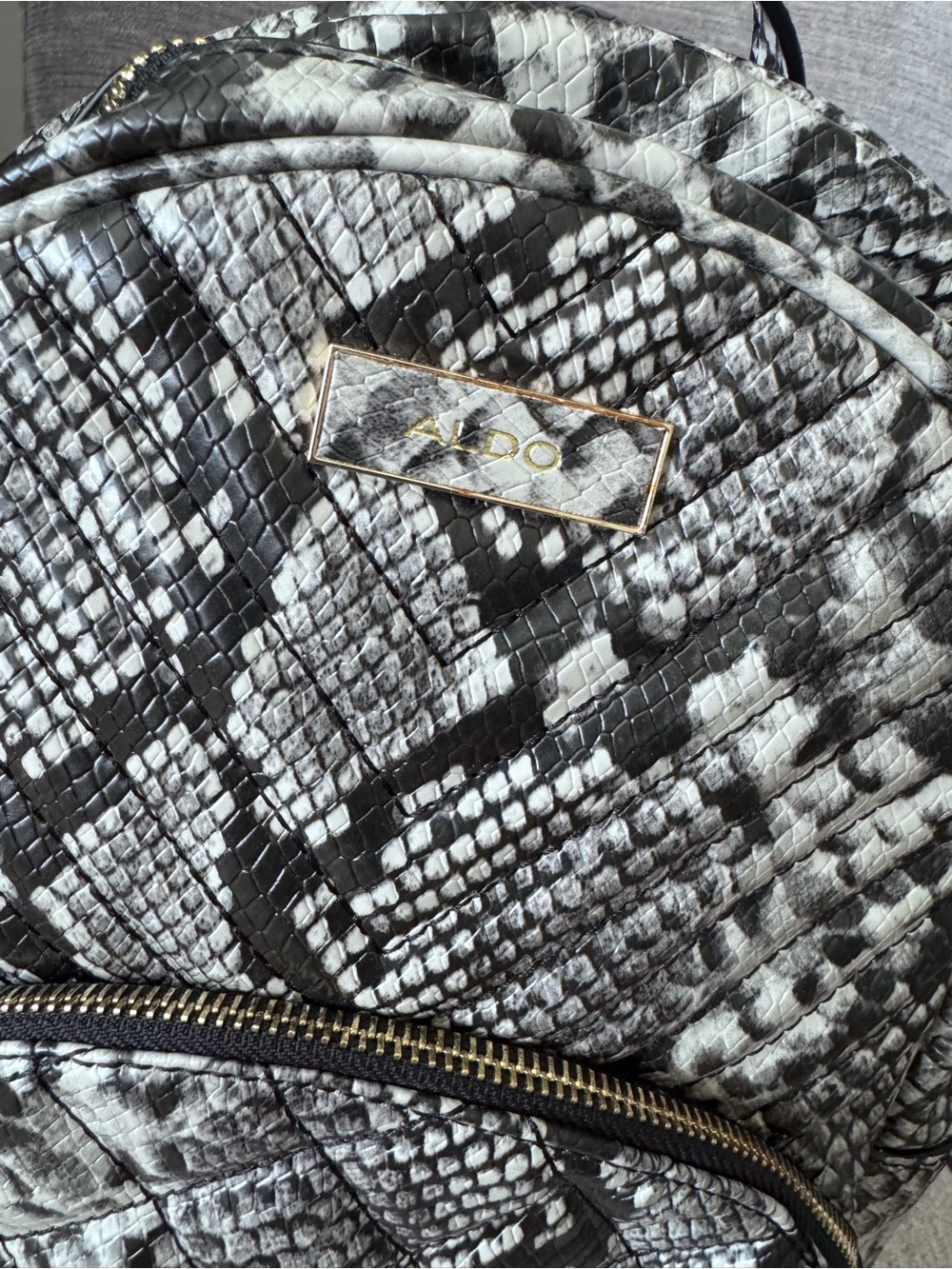 Aldo Mini Backpack - Picture 4 of 5